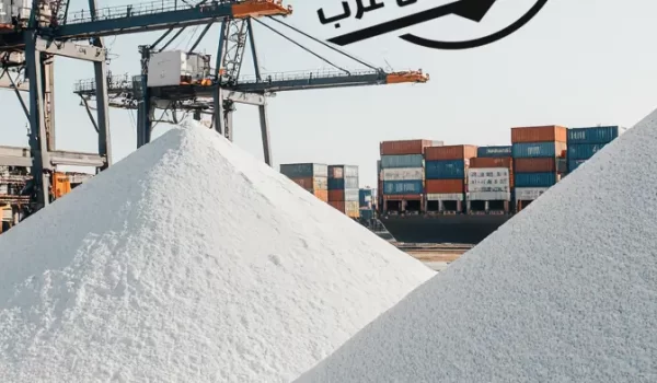 صادرات سیلیس