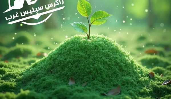 سیلیس در فناوری سبز